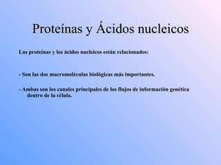 Proteínas y Ácidos nucleicos Las proteínas y los ácidos nucleicos están relacionados: - Son las dos macromoléculas biológicas más importantes. - Ambas son los canales principales de los flujos de información genética dentro de la célula. 