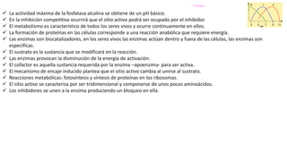 Prueba…
 La actividad máxima de la fosfatasa alcalina se obtiene de un pH básico.
 En la inhibición competitiva ocurrirá que el sitio activo podrá ser ocupado por el inhibidor.
 El metabolismo es característico de todos los seres vivos y ocurre continuamente en ellos.
 La formación de proteínas en las células corresponde a una reacción anabólica que requiere energía.
 Las enzimas son biocatalizadores, en los seres vivos las enzimas actúan dentro y fuera de las células, las enzimas son
especificas.
 El sustrato es la sustancia que se modificará en la reacción.
 Las enzimas provocan la disminución de la energía de activación.
 El cofactor es aquella sustancia requerida por la enzima –apoenzima- para ser activa.
 El mecanismo de encaje inducido plantea que el sitio activo cambia al unirse al sustrato.
 Reacciones metabólicas: fotosíntesis y síntesis de proteínas en los ribosomas.
 El sitio activo se caracteriza por ser tridimensional y componerse de unos pocos aminoácidos.
 Los inhibidores se unen a la enzima produciendo un bloqueo en ella.
 