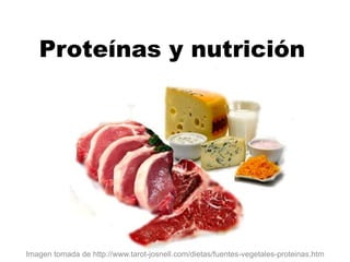 Proteínas y nutrición 
Imagen tomada de http://www.tarot-josnell.com/dietas/fuentes-vegetales-proteinas.htm 
 
