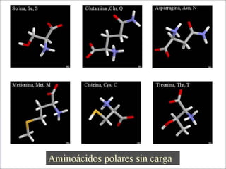 10
7.2. Els aminoàcids
3. Polaritat dels aminoàcids
 