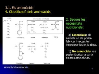 13
3.1. Els aminoàcids
4. Classificació dels aminoàcids
Aminoàcids essencials
2. Segons les
necessitats
nutricionals:
a) Essencials: els
animals no els poden
fabricar i necessiten
incorporar-los en la dieta.
b) No essencials: els
poden fabricar a partir
d’altres aminoàcids.
 