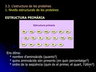 17
3.3. L’estructura de les proteïnes
1. Nivells estructurals de les proteïnes
ESTRUCTURA PRIMÀRIA
Ens dóna:
* nombre d’aminoàcids (quants?)
* quins aminoàcids són presents (en quin percentatge?)
* ordre de la seqüència (quin és el primer, el quart, l’últim?)
 
