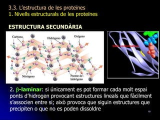 19
3.3. L’estructura de les proteïnes
1. Nivells estructurals de les proteïnes
ESTRUCTURA SECUNDÀRIA
2. b-laminar: si únicament es pot formar cada molt espai
ponts d’hidrogen provocant estructures lineals que fàcilment
s’associen entre si; això provoca que siguin estructures que
precipiten o que no es poden dissoldre
 