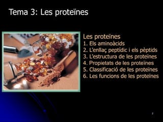 2
Tema 3: Les proteïnes
Les proteïnes
1. Els aminoàcids
2. L’enllaç peptídic i els pèptids
3. L’estructura de les proteïnes
4. Propietats de les proteïnes
5. Classificació de les proteïnes
6. Les funcions de les proteïnes
 