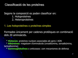 27
Segons la composició es poden classificar en:
1. Holoproteïnes
2. Heteroproteïnes
1. Les holoproteïnes o proteïnes simples
Formades únicament per cadenes protèiques en combinació
dels 20 aminoàcids.
* Histones: proteïnes nuclears associades als gens i ADN
* Albúmines: magatzem d’aminoàcids (ovoalbúmina, seroalbúmina,
lactoalbúmina)
* Gammaglobulines o anticossos: com mecanismes de defensa
Classificació de les proteïnes
 