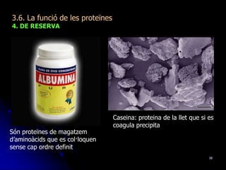 38
3.6. La funció de les proteïnes
4. DE RESERVA
Caseina: proteina de la llet que si es
coagula precipita
Són proteïnes de magatzem
d’aminoàcids que es col·loquen
sense cap ordre definit
 