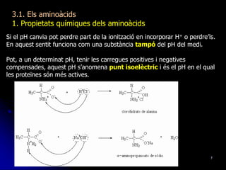 7
3.1. Els aminoàcids
1. Propietats químiques dels aminoàcids
Si el pH canvia pot perdre part de la ionització en incorporar H+ o perdre’ls.
En aquest sentit funciona com una substància tampó del pH del medi.
Pot, a un determinat pH, tenir les carregues positives i negatives
compensades, aquest pH s’anomena punt isoelèctric i és el pH en el qual
les proteïnes són més actives.
 