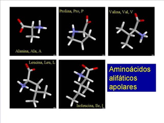 9
7.2. Els aminoàcids
3. Polaritat dels aminoàcids
 