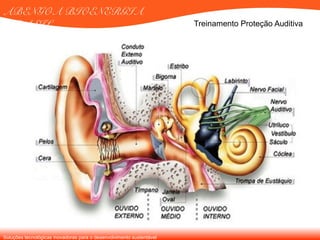 Soluções tecnológicas inovadoras para o desenvolvimento sustentável
ABENGOA BIOENERGIA
BRASIL Treinamento Proteção Auditiva
 
