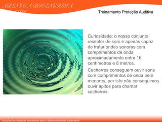 Soluções tecnológicas inovadoras para o desenvolvimento sustentável
ABENGOA BIOENERGIA
BRASIL Treinamento Proteção Auditiva
Curiosidade: o nosso conjunto
receptor de som é apenas capaz
de tratar ondas sonoras com
comprimentos de onda
aproximadamente entre 16
centímetros e 8 metros.
Cachorros conseguem ouvir sons
com comprimentos de onda bem
menores, por isto não conseguimos
ouvir apitos para chamar
cachorros.
 