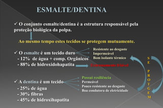  O conjunto esmalte/dentina é a estrutura responsável pela
proteção biológica da polpa.
Ao mesmo tempo estes tecidos se protegem mutuamente.
 O esmalte é um tecido duro
- 12% de água + comp. Orgânicos
- 88% de hidroxidohapatita
 A dentina é um tecido
Resistente ao desgaste
Impermeável
Bom isolante térmico
Permeável
Pouco resistente ao desgaste
Boa condutora de eletricidade
ESMALTE/DENTINA
S
E
P
R
O
T
G
E
M
Extremamente friável
Possui resiliência
- 25% de água
- 30% fibras
- 45% de hidroxihapatita
 
