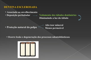 DENTINA ESCLEROSADA
• Associada ao envelhecimento
• Deposição peritubular Vedamento dos túbulos dentinários
Diminuindo a luz do túbulo
• Proteção natural da polpa
Alto teor mineral
Menos permeável
• Ocorre lesão e degeneração dos processos odontoblásticoos
 