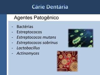 Agentes Patogênico 
- Bactérias 
- Estreptococos 
- Estreptococos mutans 
- Estreptococos sobrinus 
- Lactobacillus 
- Actinomyces 
 