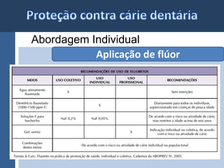 Abordagem Individual 
Aplicação de flúor 
 