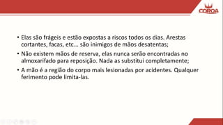 • Elas são frágeis e estão expostas a riscos todos os dias. Arestas
cortantes, facas, etc... são inimigos de mãos desatentas;
• Não existem mãos de reserva, elas nunca serão encontradas no
almoxarifado para reposição. Nada as substitui completamente;
• A mão é a região do corpo mais lesionadas por acidentes. Qualquer
ferimento pode limita-las.
 