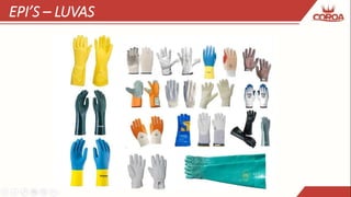 EPI’S – LUVAS
 