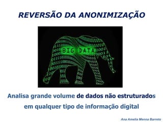 Ana Amelia Menna Barreto
REVERSÃO DA ANONIMIZAÇÃO
Analisa grande volume de dados não estruturados
em qualquer tipo de informação digital
 