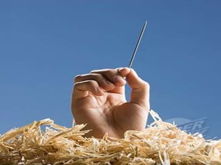 Ana Amelia Menna Barreto
 