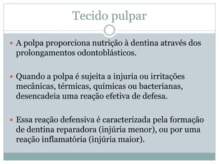 Tecido pulpar

 A polpa proporciona nutrição à dentina através dos
 prolongamentos odontoblásticos.

 Quando a polpa é sujeita a injuria ou irritações
 mecânicas, térmicas, químicas ou bacterianas,
 desencadeia uma reação efetiva de defesa.

 Essa reação defensiva é caracterizada pela formação
 de dentina reparadora (injúria menor), ou por uma
 reação inflamatória (injúria maior).
 