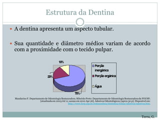 Estrutura da Dentina

 A dentina apresenta um aspecto tubular.


 Sua quantidade e diâmetro médios variam de acordo
 com a proximidade com o tecido pulpar.




  Mandarino F. Departamento de Odontologia Restauradora. Ribeirão Preto: Departamento de Odontologia Restauradora da FOUSP;
                       [atualizada em 2003 Jul 11; acesso em 2010 Apr 26]. Adesivos Odontológicos; [aprox 30 p]. Disponível em:
                                                 http://www.forp.usp.br/restauradora/dentistica/temas/adesivos/adesivos.htm.




                                                                                                                      Terra, G.
 