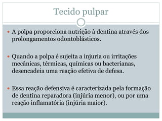 Tecido pulpar

 A polpa proporciona nutrição à dentina através dos
 prolongamentos odontoblásticos.

 Quando a polpa é sujeita a injuria ou irritações
 mecânicas, térmicas, químicas ou bacterianas,
 desencadeia uma reação efetiva de defesa.

 Essa reação defensiva é caracterizada pela formação
 de dentina reparadora (injúria menor), ou por uma
 reação inflamatória (injúria maior).
 