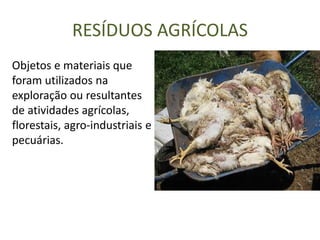 RESÍDUOS AGRÍCOLAS
Objetos e materiais que
foram utilizados na
exploração ou resultantes
de atividades agrícolas,
florestais, agro-industriais e
pecuárias.
 