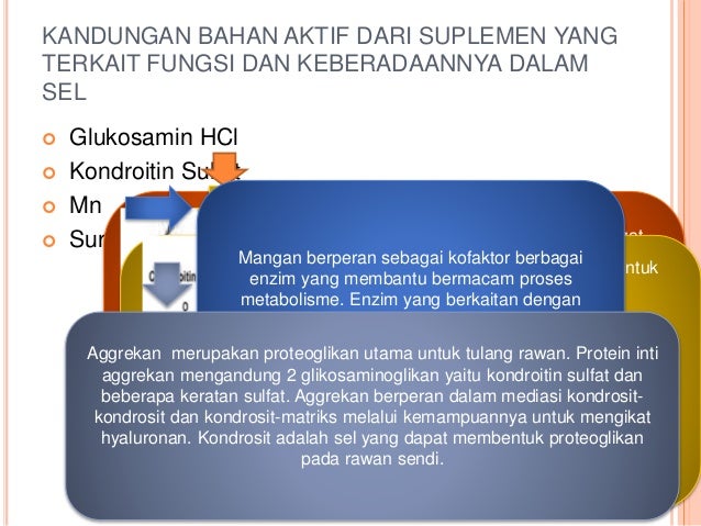 Proteoglikan