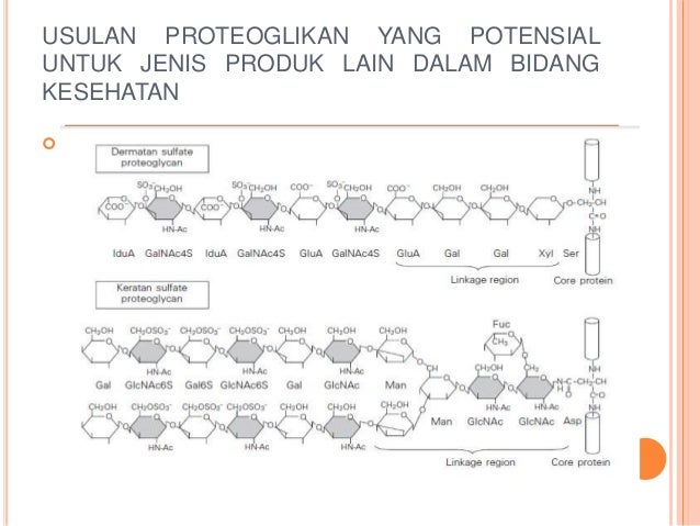 Proteoglikan
