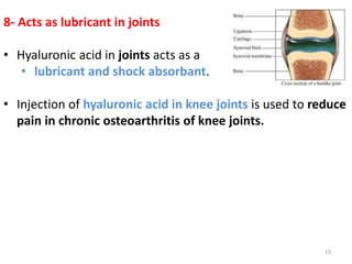 8- Acts as lubricant in joints
• Hyaluronic acid in joints acts as a
• lubricant and shock absorbant.
• Injection of hyaluronic acid in knee joints is used to reduce
pain in chronic osteoarthritis of knee joints.
13
 