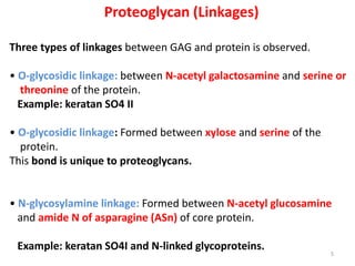 Proteoglycan (Linkages)
Three types of linkages between GAG and protein is observed.
• O-glycosidic linkage: between N-acetyl galactosamine and serine or
threonine of the protein.
Example: keratan SO4 II
• O-glycosidic linkage: Formed between xylose and serine of the
protein.
This bond is unique to proteoglycans.
• N-glycosylamine linkage: Formed between N-acetyl glucosamine
and amide N of asparagine (ASn) of core protein.
Example: keratan SO4I and N-linked glycoproteins.
5
 