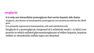 serglycin
It is only one intracellular proteoglycan that carries heparin side chains
Serglycin, also known as hematopoietic proteoglycan core protein,encoded by the SRGN
gene.
It is primarily expressed in hematopoietic cells and endothelial cells.
Serglycin is a proteoglycan composed of a relatively small (∼17 kDa) core
protein to which sulfated glycosaminoglycans of either heparin, heparan
sulfate or chondroitin sulfate types are attached.
 