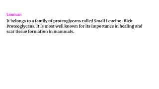 Lumican
It belongs to a family of proteoglycans called Small Leucine-Rich
Proteoglycans. It is most well known for its importance in healing and
scar tissue formation in mammals.
 