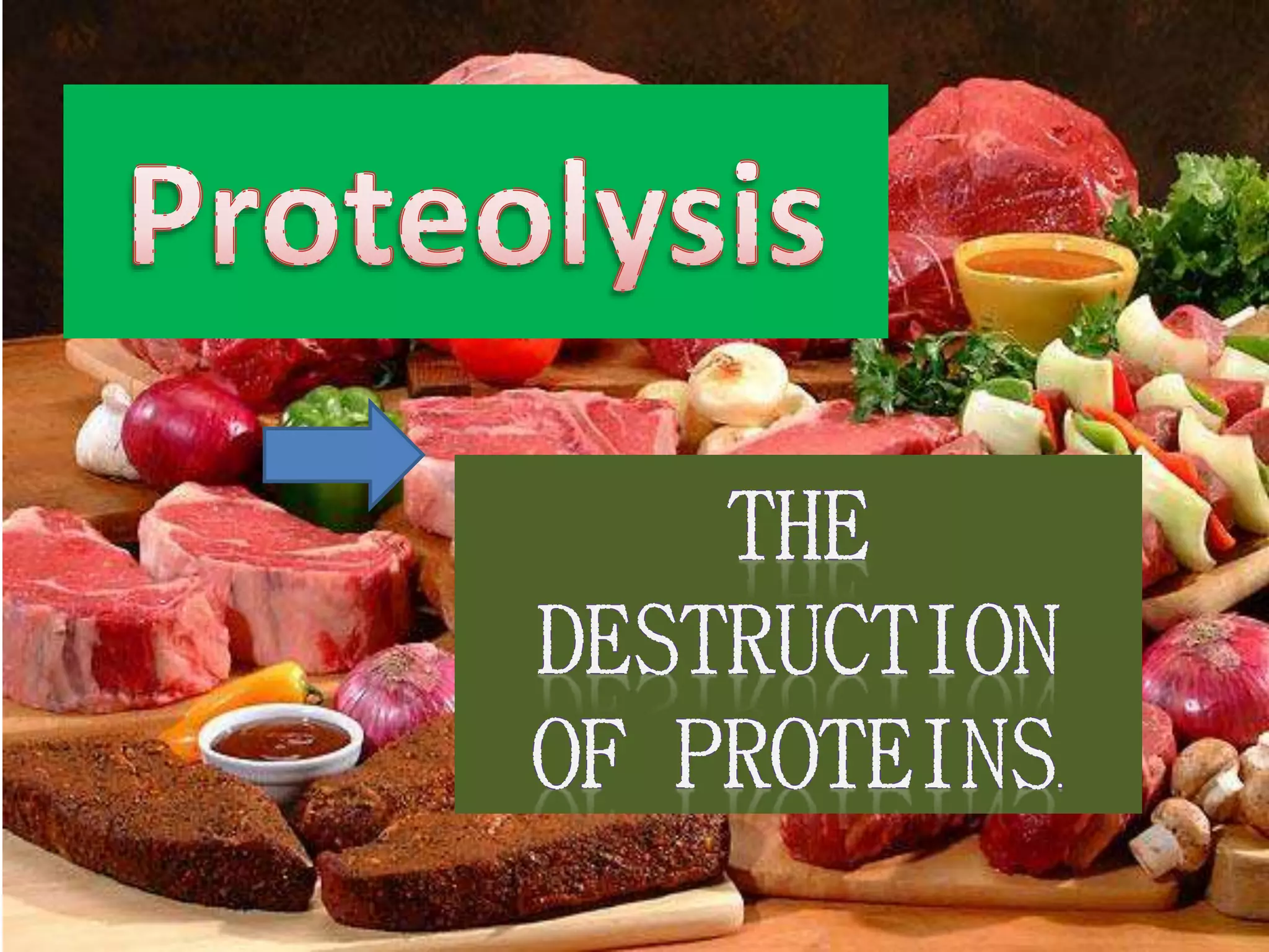 Proteolysis