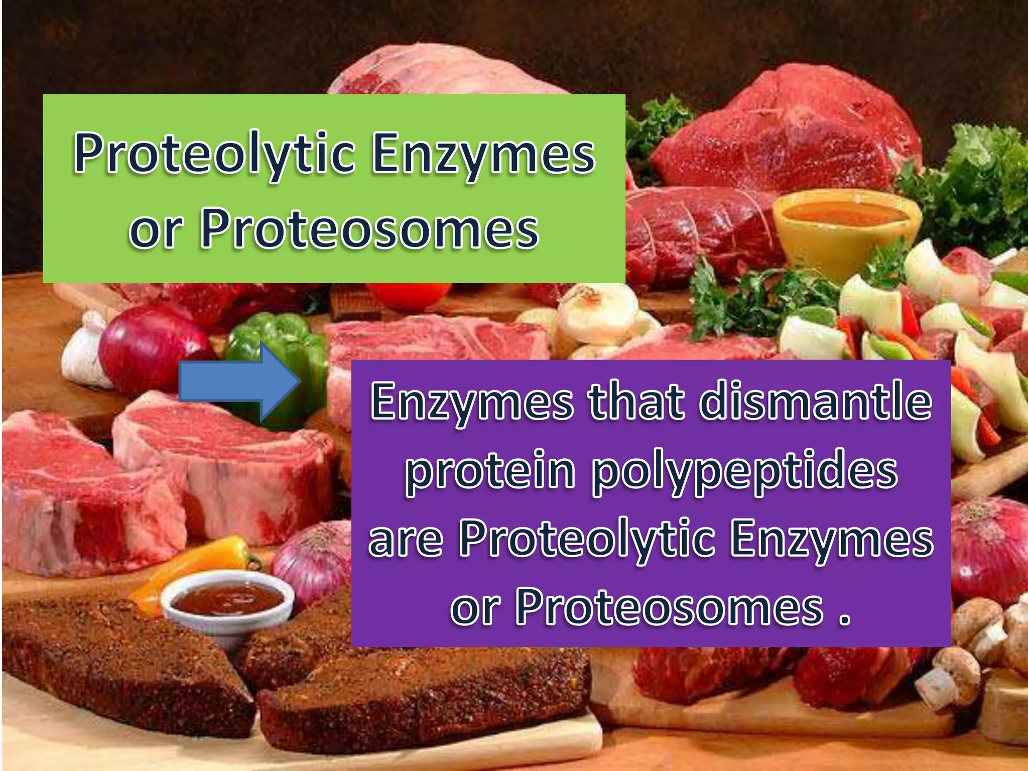 Proteolysis