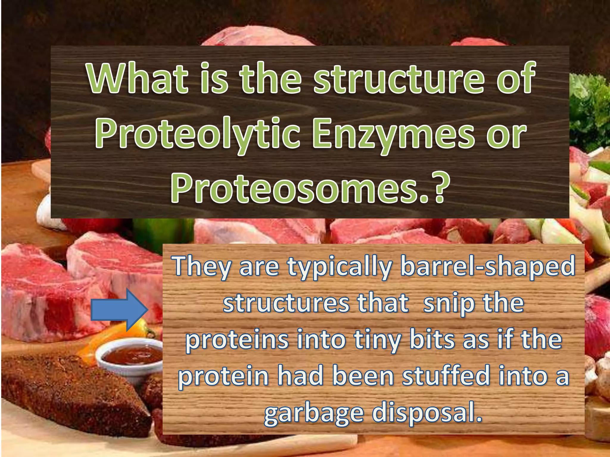 Proteolysis