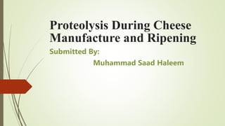 Proteolysis During Cheese
Manufacture and Ripening
Submitted By:
Muhammad Saad Haleem
 