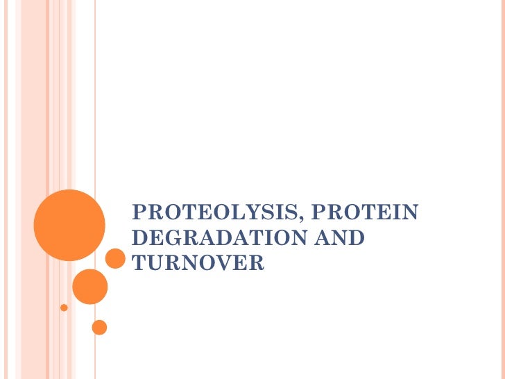 Proteolysis, protein degradation and turnover