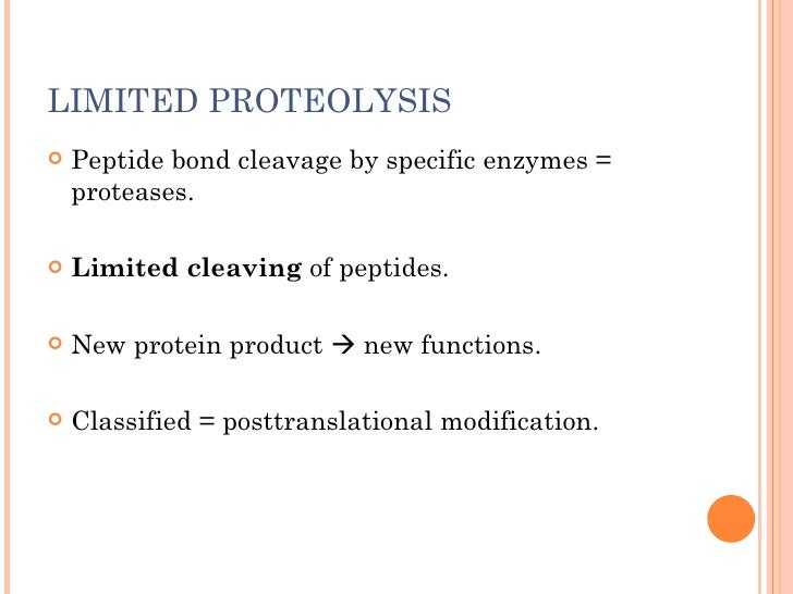 Proteolysis, protein degradation and turnover