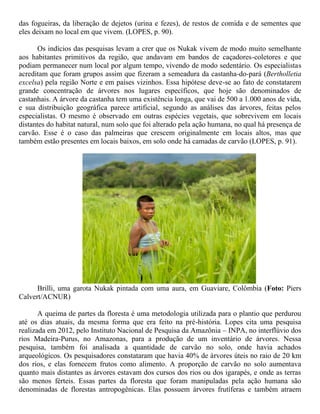 das fogueiras, da liberação de dejetos (urina e fezes), de restos de comida e de sementes que
eles deixam no local em que vivem. (LOPES, p. 90).
Os indícios das pesquisas levam a crer que os Nukak vivem de modo muito semelhante
aos habitantes primitivos da região, que andavam em bandos de caçadores-coletores e que
podiam permanecer num local por algum tempo, vivendo de modo sedentário. Os especialistas
acreditam que foram grupos assim que fizeram a semeadura da castanha-do-pará (Bertholletia
excelsa) pela região Norte e em países vizinhos. Essa hipótese deve-se ao fato de constatarem
grande concentração de árvores nos lugares específicos, que hoje são denominados de
castanhais. A árvore da castanha tem uma existência longa, que vai de 500 a 1.000 anos de vida,
e sua distribuição geográfica parece artificial, segundo as análises das árvores, feitas pelos
especialistas. O mesmo é observado em outras espécies vegetais, que sobrevivem em locais
distantes do habitat natural, num solo que foi alterado pela ação humana, no qual há presença de
carvão. Esse é o caso das palmeiras que crescem originalmente em locais altos, mas que
também estão presentes em locais baixos, em solo onde há camadas de carvão (LOPES, p. 91).
Brilli, uma garota Nukak pintada com uma aura, em Guaviare, Colômbia (Foto: Piers
Calvert/ACNUR)
A queima de partes da floresta é uma metodologia utilizada para o plantio que perdurou
até os dias atuais, da mesma forma que era feito na pré-história. Lopes cita uma pesquisa
realizada em 2012, pelo Instituto Nacional de Pesquisa da Amazônia – INPA, no interflúvio dos
rios Madeira-Purus, no Amazonas, para a produção de um inventário de árvores. Nessa
pesquisa, também foi analisada a quantidade de carvão no solo, onde havia achados
arqueológicos. Os pesquisadores constataram que havia 40% de árvores úteis no raio de 20 km
dos rios, e elas fornecem frutos como alimento. A proporção de carvão no solo aumentava
quanto mais distantes as árvores estavam dos cursos dos rios ou dos igarapés, e onde as terras
são menos férteis. Essas partes da floresta que foram manipuladas pela ação humana são
denominadas de florestas antropogênicas. Elas possuem árvores frutíferas e também atraem
 