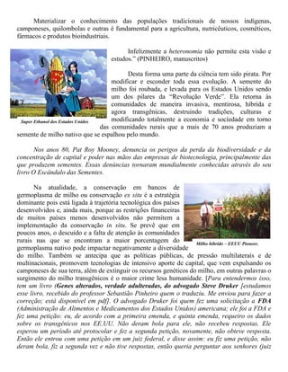 Materializar o conhecimento das populações tradicionais de nossos indígenas,
camponeses, quilombolas e outras é fundamental para a agricultura, nutricêuticos, cosméticos,
fármacos e produtos bioindustriais.
Infelizmente a heteronomia não permite esta visão e
estudos.” (PINHEIRO, manuscritos)
Desta forma uma parte da ciência tem sido pirata. Por
modificar e esconder toda essa evolução. A semente do
milho foi roubada, e levada para os Estados Unidos sendo
um dos pilares da “Revolução Verde”. Ela retorna às
comunidades de maneira invasiva, mentirosa, híbrida e
agora transgênicas, destruindo tradições, culturas e
modificando totalmente a economia e sociedade em torno
das comunidades rurais que a mais de 70 anos produziam a
semente de milho nativo que se espalhou pelo mundo.
Nos anos 80, Pat Roy Mooney, denuncia os perigos da perda da biodiversidade e da
concentração de capital e poder nas mãos das empresas de biotecnologia, principalmente das
que produzem sementes. Essas denúncias tornaram mundialmente conhecidas através do seu
livro O Escândalo das Sementes.
Na atualidade, a conservação em bancos de
germoplasma de milho ou conservação ex situ é a estratégia
dominante pois está ligada à trajetória tecnológica dos países
desenvolvidos e, ainda mais, porque as restrições financeiras
de muitos países menos desenvolvidos não permitem a
implementação da conservação in situ. Se prevê que em
poucos anos, o descuido e a falta de atenção às comunidades
rurais nas que se encontram a maior porcentagem do
germoplasma nativo pode impactar negativamente a diversidade
do milho. Também se antecipa que as políticas públicas, de pressão multilaterais e de
multinacionais, promovem tecnologias de intensivo aporte de capital, que vem expulsando os
camponeses de sua terra, além de extinguir os recursos genéticos do milho, em outras palavras o
surgimento do milho transgênicos é o maior crime lesa humanidade. [Para entendermos isso,
tem um livro (Genes alterados, verdade adulteradas, do advogado Steve Druker [estudamos
esse livro, recebido do professor Sebastião Pinheiro quem o traduziu. Me enviou para fazer a
correção; está disponível em pdf]. O advogado Druker foi quem fez uma solicitação a FDA
(Administração de Alimentos e Medicamentos dos Estados Unidos) americana; ele foi a FDA e
fez uma petição: eu, de acordo com a primeira emenda, e quinta emenda, requeiro os dados
sobre os transgênicos nos EE.UU. Não deram bola para ele, não recebeu respostas. Ele
esperou um período até protocolar e fez a segunda petição, novamente, não obteve resposta.
Então ele entrou com uma petição em um juiz federal, e disse assim: eu fiz uma petição, não
deram bola, fiz a segunda vez e não tive respostas, então queria perguntar aos senhores (juiz
Super Ethanol dos Estados Unidos
Milho híbrido – EEUU Pioneer.
 