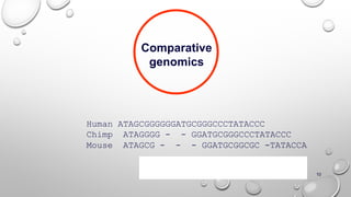 10
Comparative
genomics
Human ATAGCGGGGGGATGCGGGCCCTATACCC
Chimp ATAGGGG - - GGATGCGGGCCCTATACCC
Mouse ATAGCG - - - GGATGCGGCGC -TATACCA
 