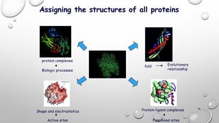 14
Assigning the structures of all proteins
Protein-ligand complexes
Functional sites
fold Evolutionary
relationship
Shape and electrostatics
Active sites
protein complexes
Biologic processes
 