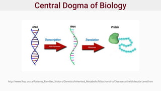 Central Dogma of Biology
http://www.lhsc.on.ca/Patients_Families_Visitors/Genetics/Inherited_Metabolic/Mitochondria/DiseasesattheMolecularLevel.htm
 