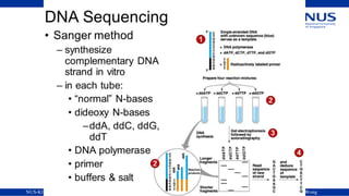 NUS-KI Course on Bioinformatics, Nov 2005 Copyright 2005 © Limsoon Wong
 