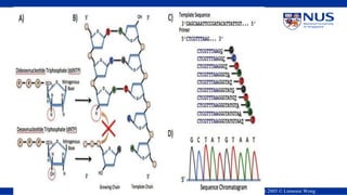 NUS-KI Course on Bioinformatics, Nov 2005 Copyright 2005 © Limsoon Wong
 
