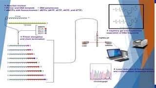 NUS-KI Course on Bioinformatics, Nov 2005 Copyright 2005 © Limsoon Wong
 