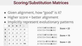 Scoring/Substitution Matrices
● Given alignment, how “good” is it?
● Higher score = better alignment
● Implicitly represent evolutionary patterns
A C G T -
A 2 -3 -1 -3 -3
C -3 2 -3 -1 -3
G -1 -3 2 -3 -3
T -3 -1 -3 2 -3
- -3 -3 -3 -3 NA
ATACCAGTAAGGGAG
ATACCA-TAAGAGAG
Score = 22
ATACCAGTAAGG-GAG
ATACCA-TAAG-AGAG
Score = 19
ATACCA-GTAAGGGAG
A-TACCATAAGAGAG-
Score = -20
 