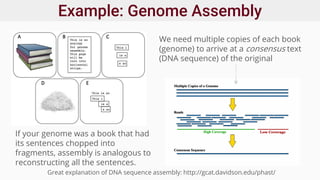 Example: Genome Assembly
We need multiple copies of each book
(genome) to arrive at a consensus text
(DNA sequence) of the original
If your genome was a book that had
its sentences chopped into
fragments, assembly is analogous to
reconstructing all the sentences.
Great explanation of DNA sequence assembly: http://gcat.davidson.edu/phast/
 