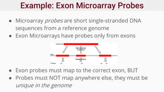 Example: Exon Microarray Probes
● Microarray probes are short single-stranded DNA
sequences from a reference genome
● Exon Microarrays have probes only from exons
● Exon probes must map to the correct exon, BUT
● Probes must NOT map anywhere else, they must be
unique in the genome
 