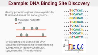 Example: DNA Binding Site Discovery
Identify genomic regions where a particular
TF is bound across the entire genome
By extracting and aligning the DNA
sequence corresponding to these binding
events, we can identify which DNA
sequences this TF tends to bind
 
